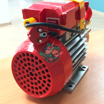 image-2