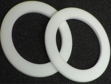 Fluoroplastic gasket