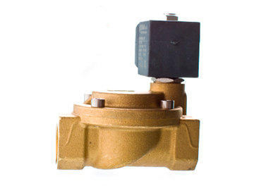 Pump valve