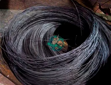 Electrical steel wire