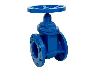 Cast iron valves